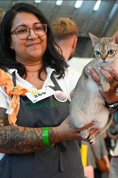 Screenshot_20251017_014048_Facebook